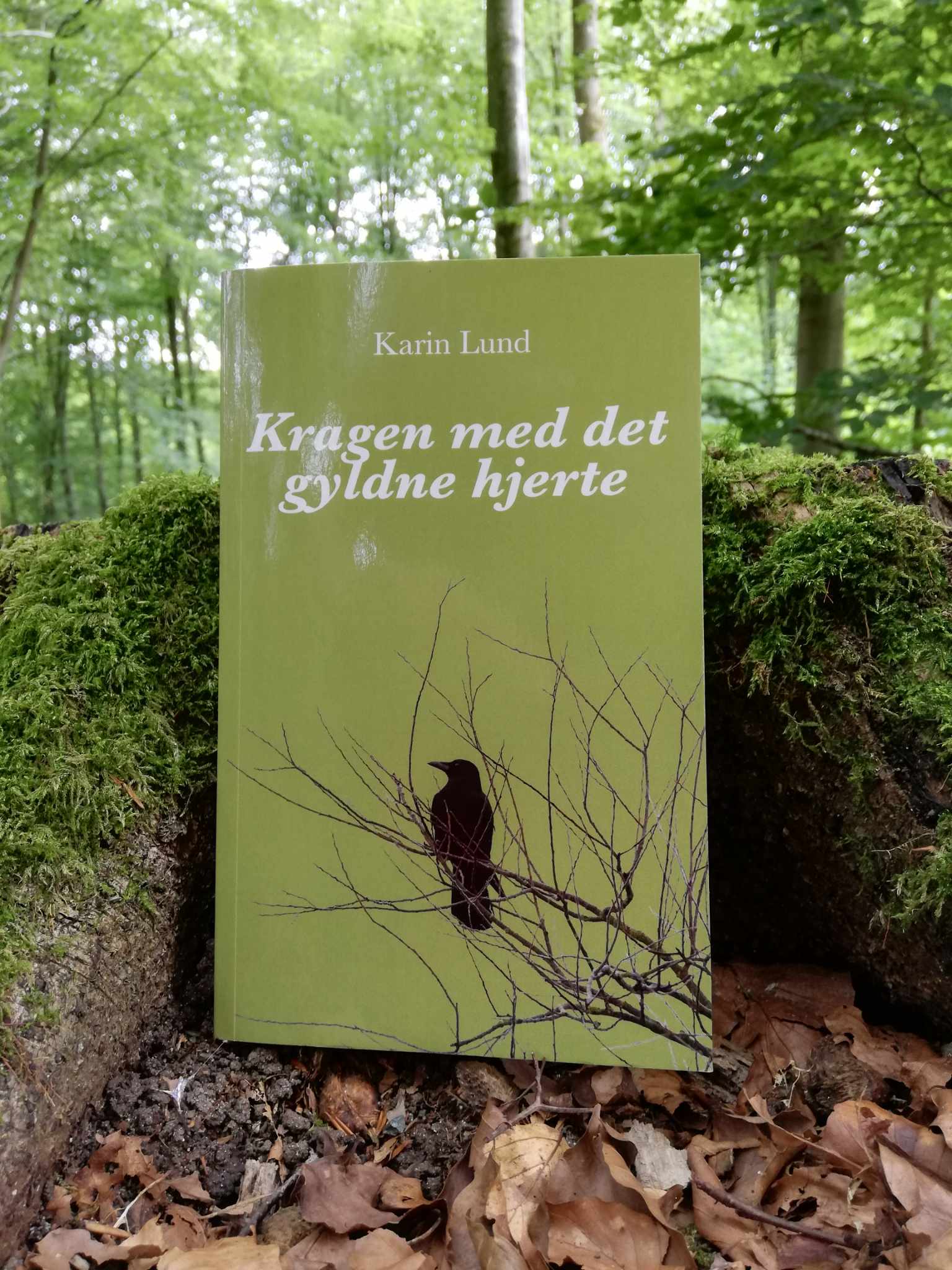 Kragen med det gyldne hjerte skrevet af Karin Lund er et fint eventyr for voksne.