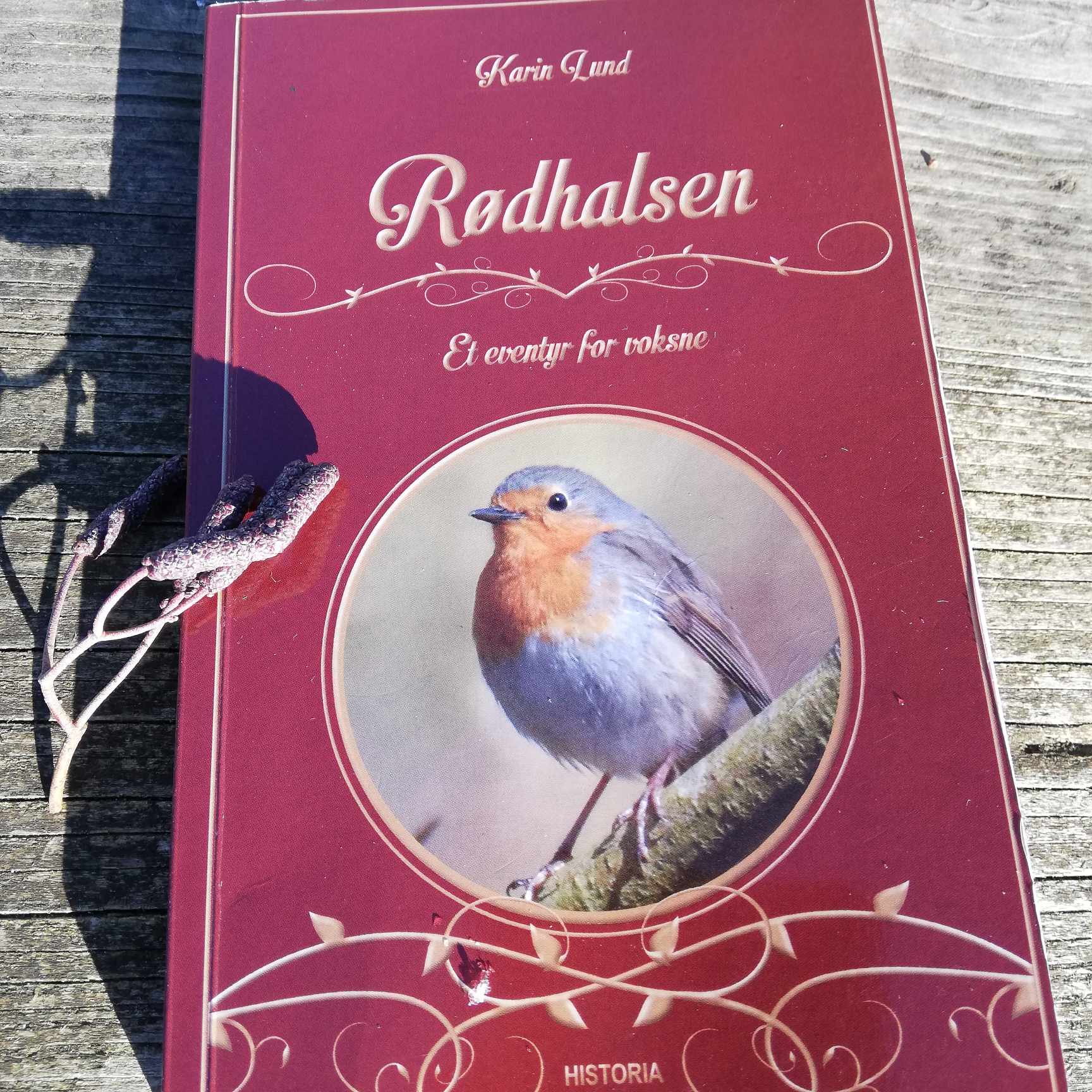 Karin Lund har skrevet bogen Rødhalsen - et eventyr for voksne