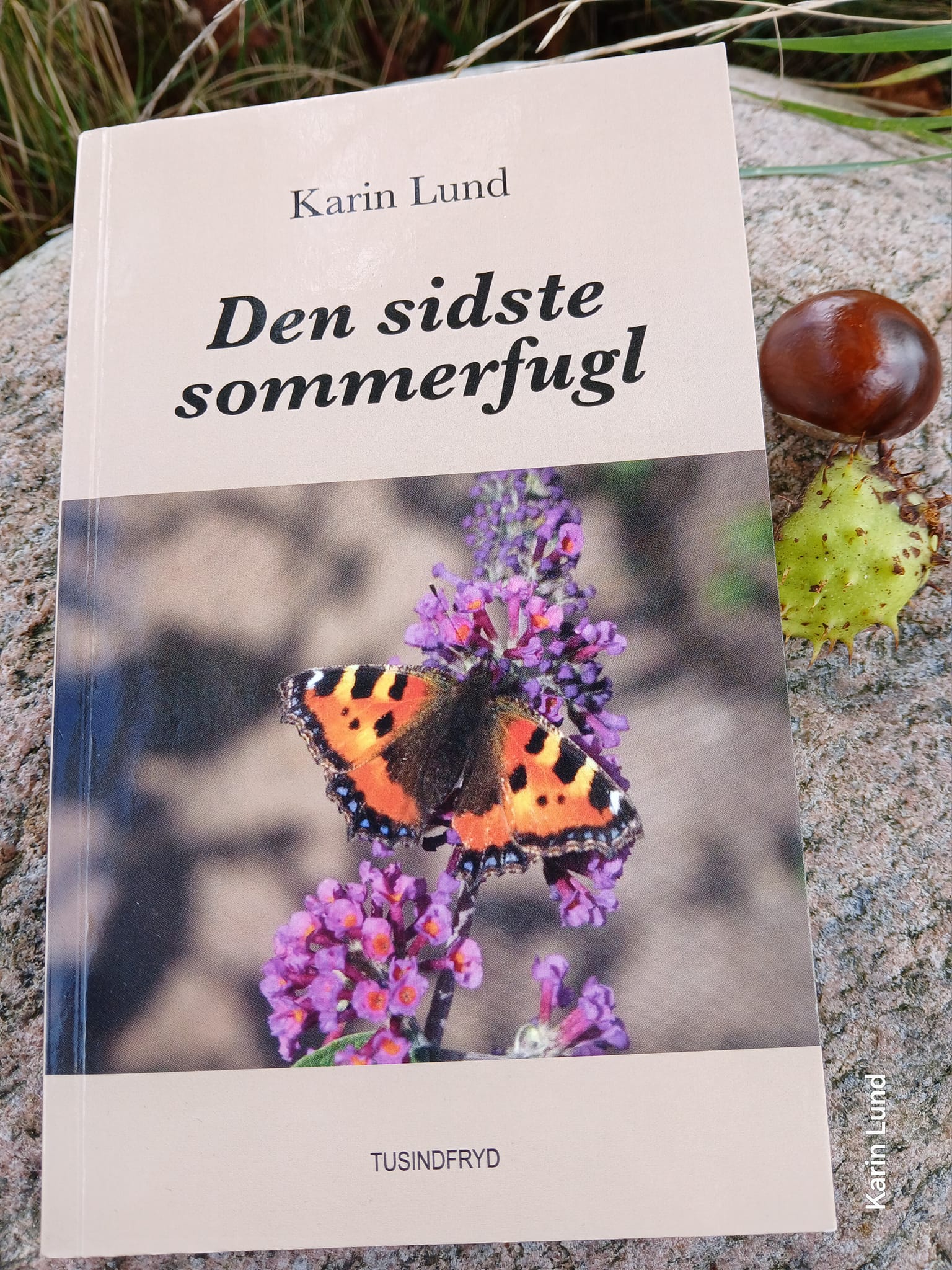 Den sidste sommerfugle er titlen på forfatter Karin Lunds nyeste eventyr for voksne. 