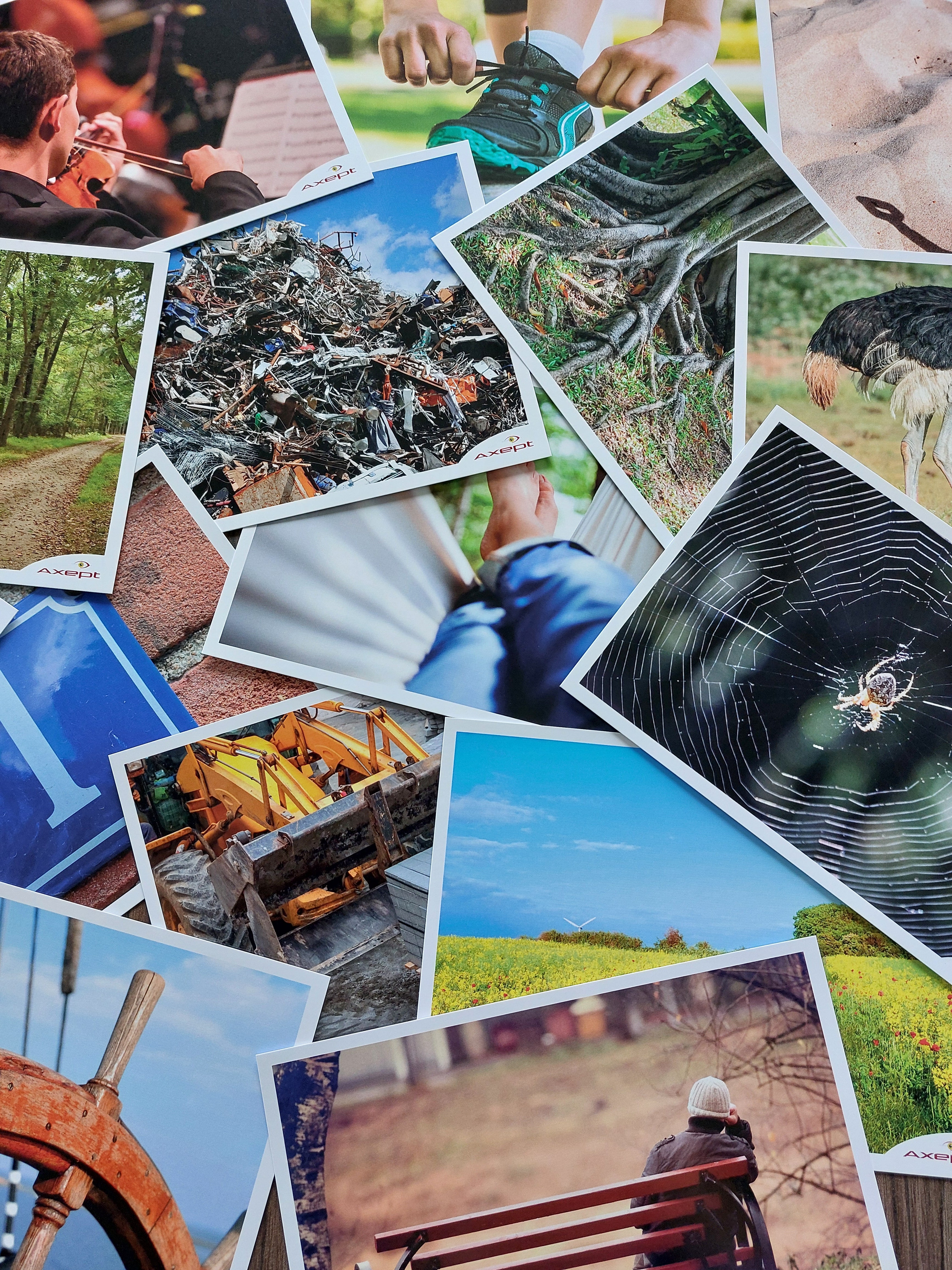 Visual discover billeder - et udvalg de 110 fotos i sættet. 