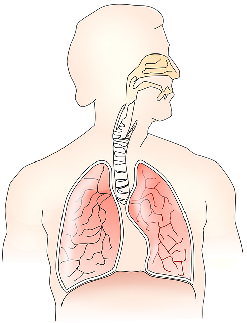 Stressvejleder/Stresscoach